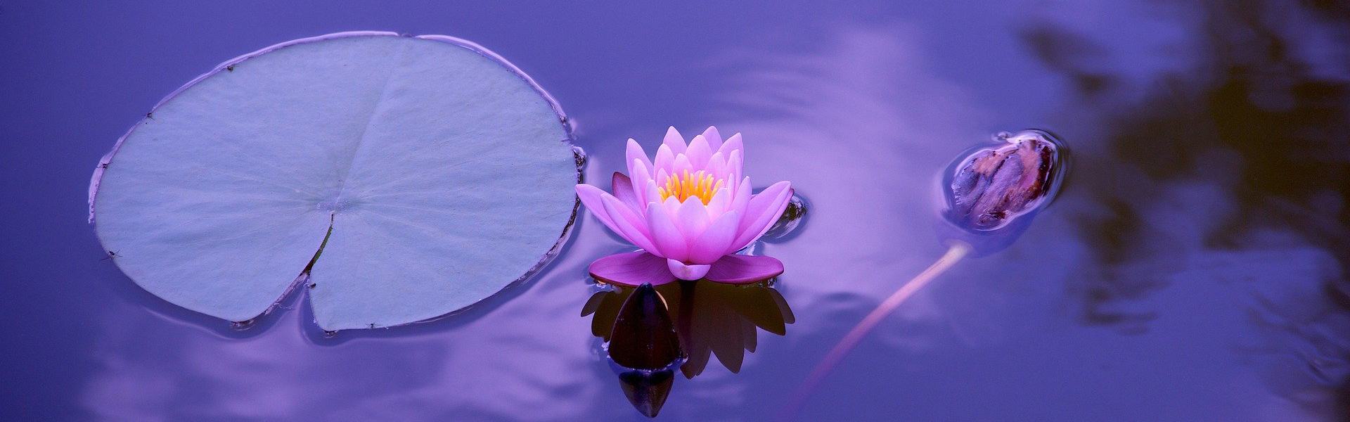 Motivation & Healing